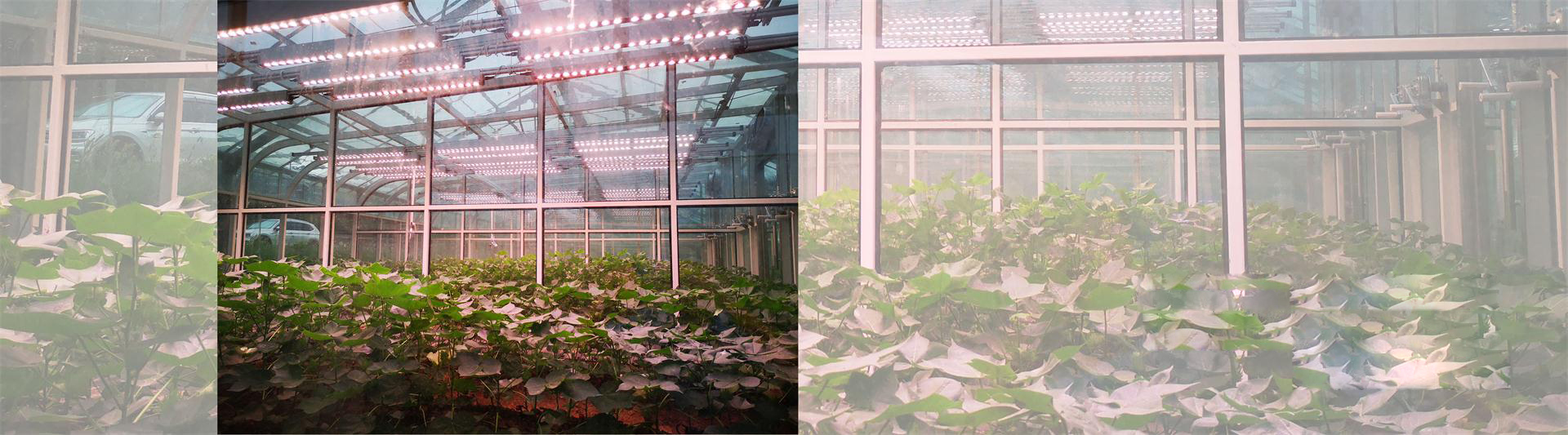 人工模擬環境的整體解決方案